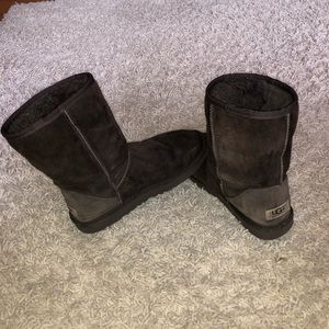 Classic short Chocolate UGGS